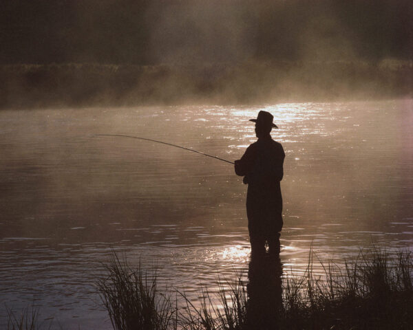 fish or cut bait
